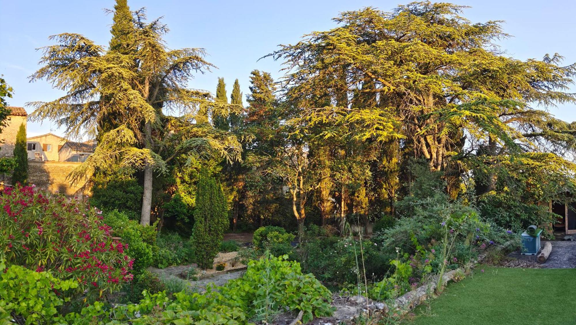 Rue Du Chateau A Cabrieres D'Avignon Bed & Breakfast Dış mekan fotoğraf