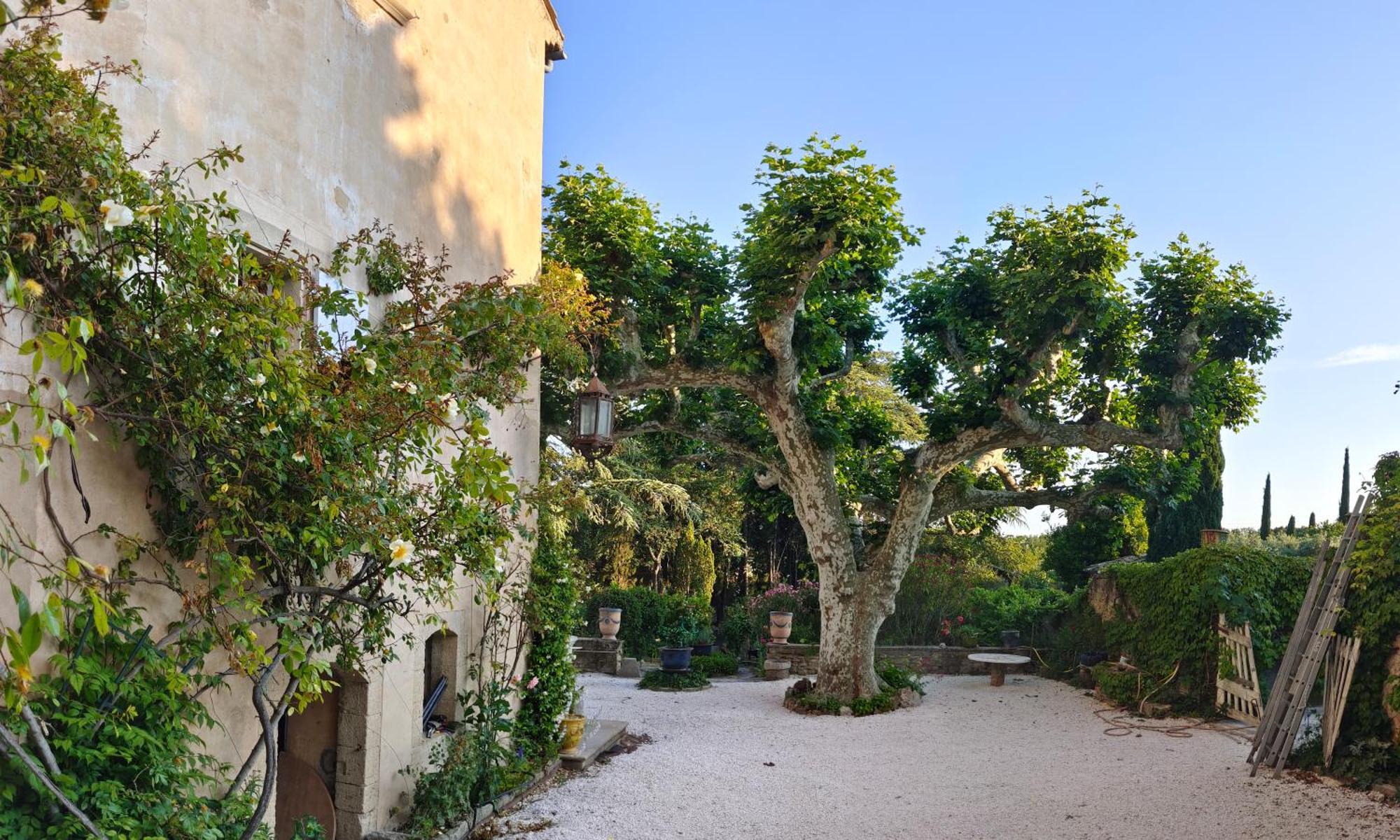 Rue Du Chateau A Cabrieres D'Avignon Bed & Breakfast Dış mekan fotoğraf